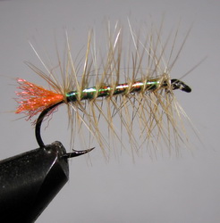 ���� ������ PLM 09 sand - peacock  # 6